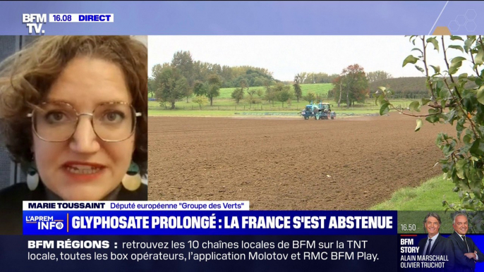 Autorisation du glyphosate prolongée: "Il y a des preuves flagrantes de sa toxicité" dénonce Marie Toussaint, députée européenne EELV