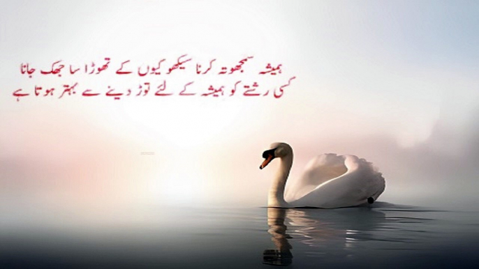 Inspirational Quotes | Words of Wisdom | Precious Urdu Quotes | Golden words | Urdu Quotes