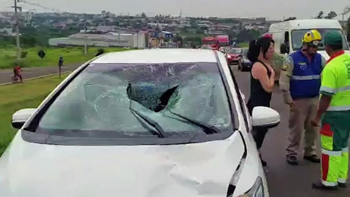 Homem tem lesões graves após ser atropelado por carro na BR-277