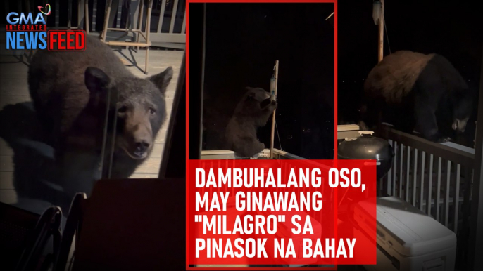 Dambuhalang oso, may ginawang "milagro" sa pinasok na bahay | GMA Integrated Newsfeed