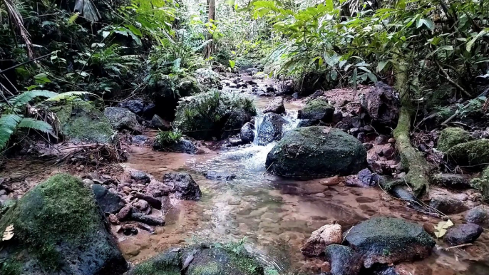 NATURAL SOUNDS AND RIVER SOUNDS ARE VERY GOOD FOR RELAXATION, STRESS RELIEF, MEDITATION - ASMR