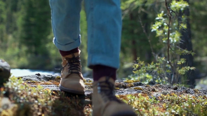 Traveling in the middle of forest