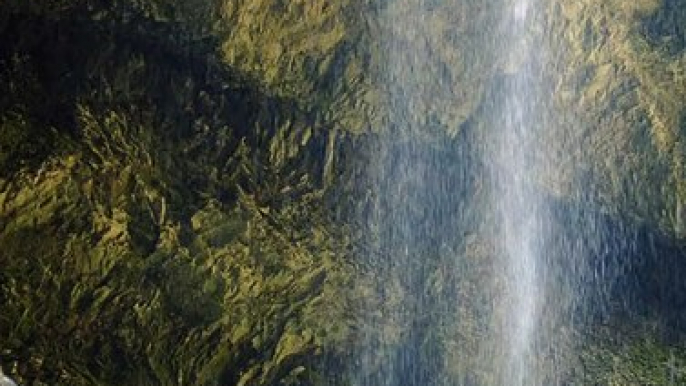 Walking Under the Water Falls