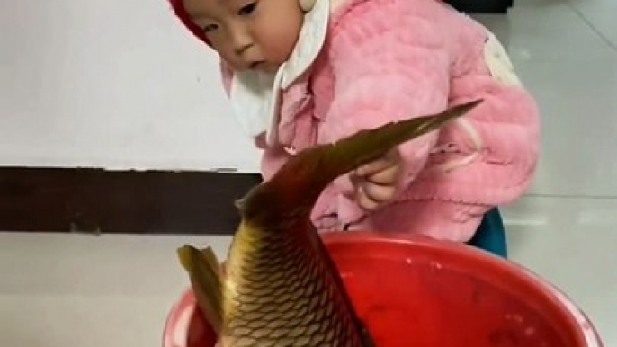 Fishes And Baby Funny Moments | Fishes In The Water | Animals Funny Reactions | Animals Funny Moment