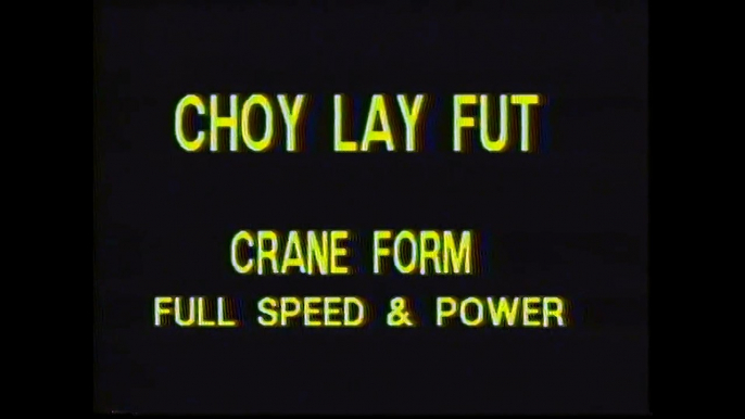 Choy Lay Fut Kung Fu - Volume 4: Crane Form with Instructor Tat-Mau Wong