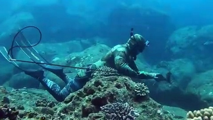 Professional Hand Spearfishing in Hawaii!