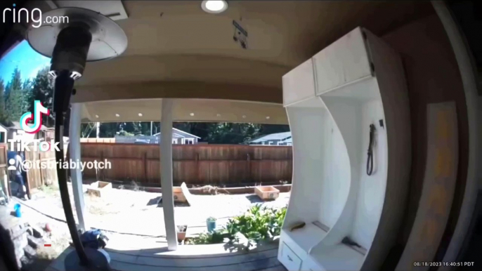 Husband Trying to Hide Flowers Caught on Ring Doorbell Camera | Doorbell Camera Video