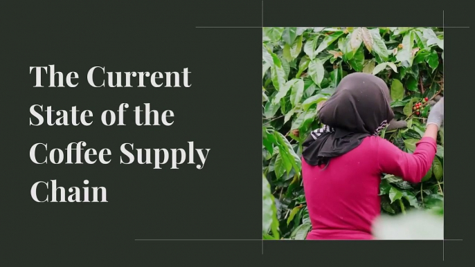 Sustainability in Coffee Production: Bernadette Shenouda's Trailblazing Strategies