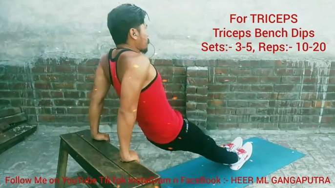 ❌ TRICEP BENCH DIPS ✔️ | Best TRICEPS Exercise at Home | Info by Heer ML Gangaputra