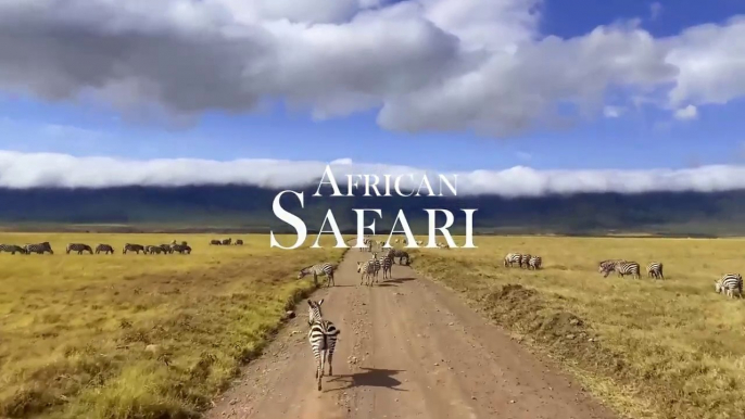 African Safari - Amazing Wildlife of African Savanna