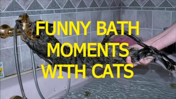 Cats just don't want to bathe - Funny cat bathing compilation