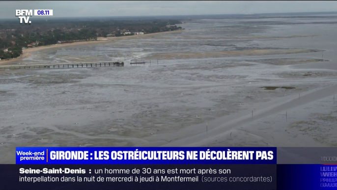 Interdiction des huîtres: les ostréiculteurs d'Arcachon accusent le coup avec une perte estimée de 7 millions d'euros de chiffre d'affaire