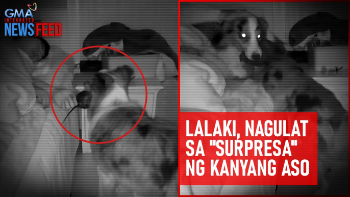 Lalaki, nagulat sa "surpresa" ng kanyang aso | GMA Integrated Newsfeed