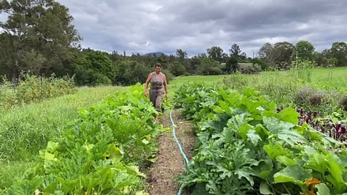 The farming program encouraging more green thumbs in NSW South Coast