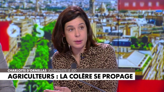 Charlotte d’Ornellas : «Ça fait des années et des années que les agriculteurs expliquent que le modèle ne peut pas tenir»