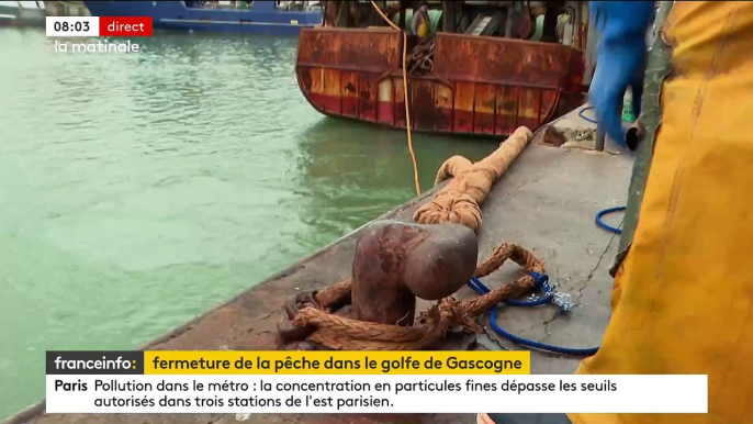 L’essentiel des bateaux de pêche sont restés à quai aujourd'hui dans le golfe de Gascogne pour préserver les dauphins, une interdiction d’un mois qui angoisse la filière malgré les aides annoncées - Regardez