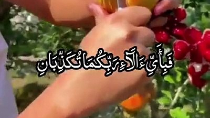 Beautiful Recitation of Quran e pak  Beautiful Tilawat e Quran e pak