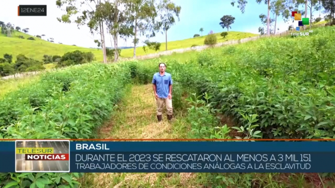 Gobierno de Brasil rescata a trabajadores en condiciones análogas a la esclavitud