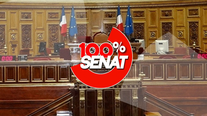 100% Sénat - Narcotrafic : les parquets situés en zone rurale auditionnés