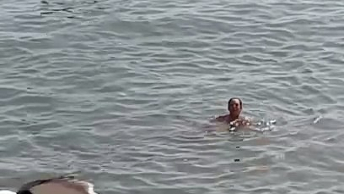 Woman Swims With Sea Lions