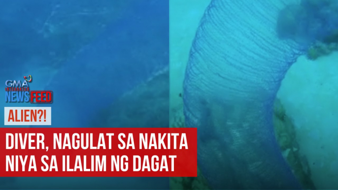 Alien?! – Diver, nagulat sa nakita niya sa ilalim ng dagat | GMA Integrated Newsfeed