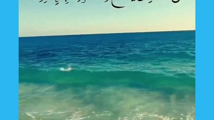 Recitation Of Ayat-ul Kursi ..! Récitation du Sourte Al-Baqarah #100k  #islamicvideos #Tilawat #koran #Alshaikhabdulaziz #quran #islam #viralvideo