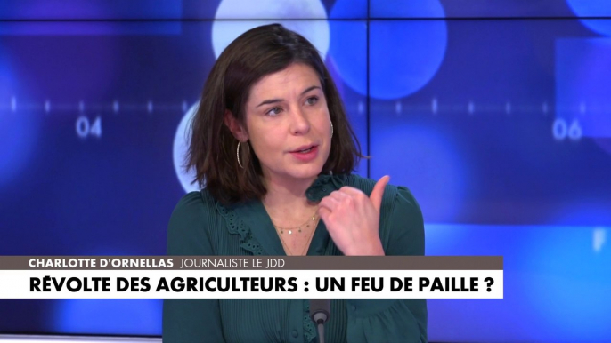 Charlotte d’Ornellas : «Les agriculteurs ont un rapport à l’UE aussi ambivalent que celui du reste des Français»