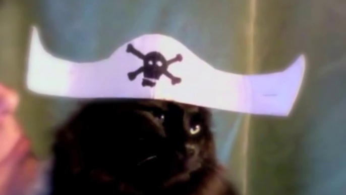 Pirate Without A Parrot