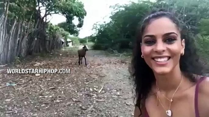 What Could Go Wrong  Woman Takes A Selfie With Ram And Then This Happens