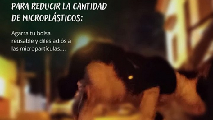 -Jacobo Shemaria Capuano- Iniciativas de reciclaje y reutilización de plásticos para reducir la cantidad de microplásticos: (Parte 1) (Creado por @JacoboShemariaCapuano)