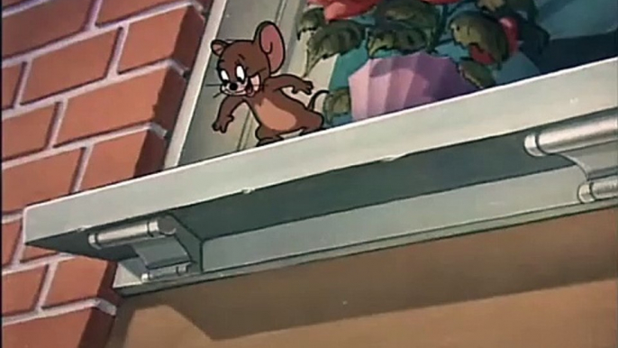 ☺Tom and Jerry ☺ - Casanova Cat (1951) - Short Cartoons Movie for kids - HD - YouTube 2023