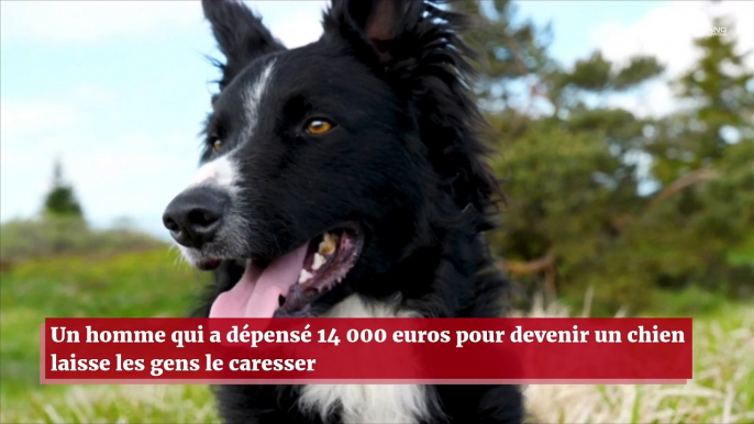 Un Japonais qui a dépensé 14 000 euros pour devenir un chien laisse les gens le caresser