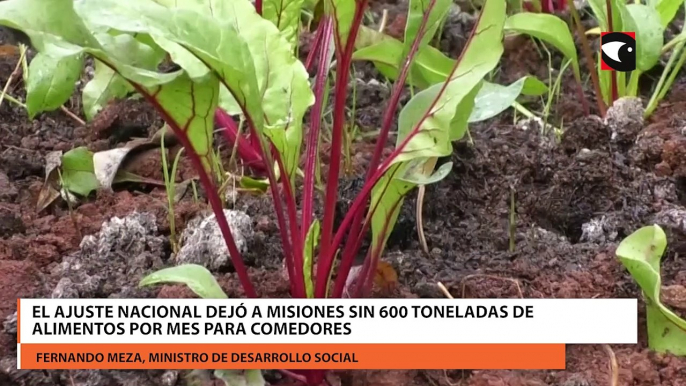 La política de ajuste del gobierno nacional dejó a Misiones sin 600 toneladas de alimentos por mes y creció la demanda en los comedores