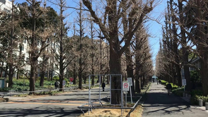 日吉駅（慶應義塾大学日吉キャンパス）