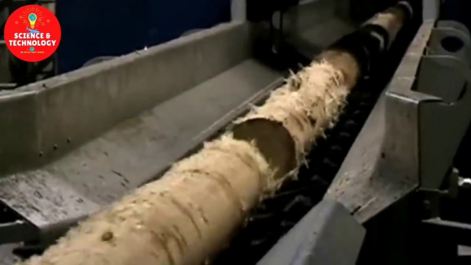 Incredible High-Tech Wood Cutting Machine Processing-Fastest Sawmills-Wood Factory Modern Technology