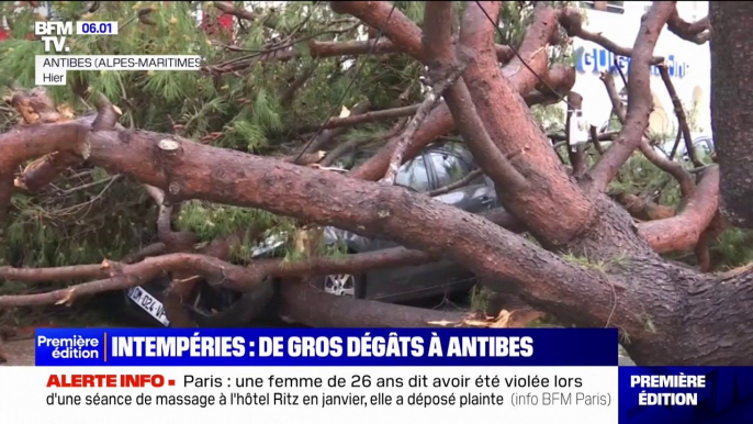 Arbres arrachés, toitures endommagées... de gros dégâts à Antibes après les intempéries