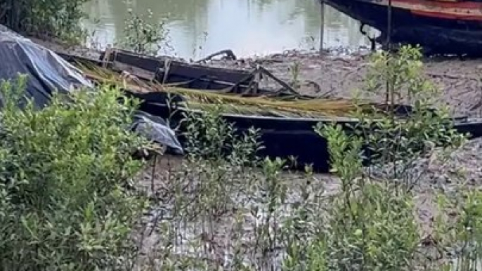 We all ran away when we suddenly heard the call of a tiger in the Sundarbans