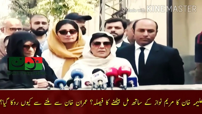 مریم نواز کے ساتھ مل بیٹھنے کا فیصلہ | Aleema Khan decision to meet with Maryam Nawaz? Why was she not allowed to meet Imran Khan? Aleema Khan and the head of Majlis Wahdat Muslimeen Allama Raja Nasir Abbas had a conversation