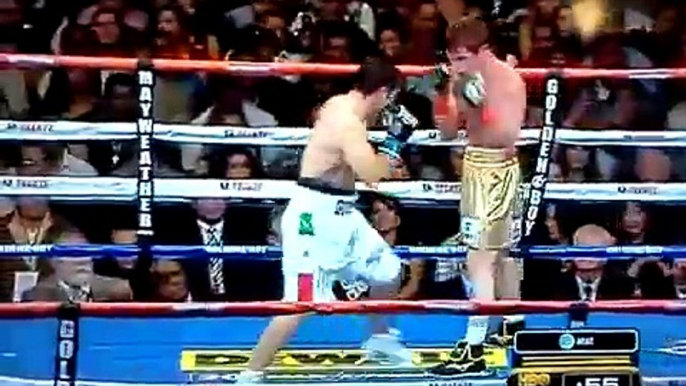 Saul El Canelo Alvarez KO Alfonso Gomez Box