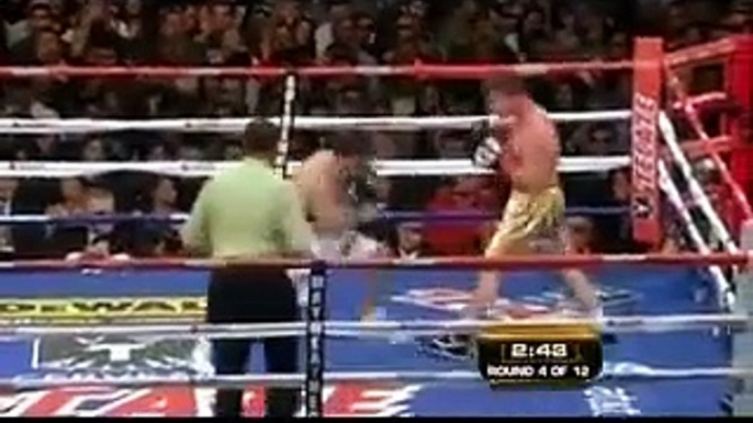 Saul "Canelo" Alvarez  vs  Alfonso Gomez Pelea Completa Box