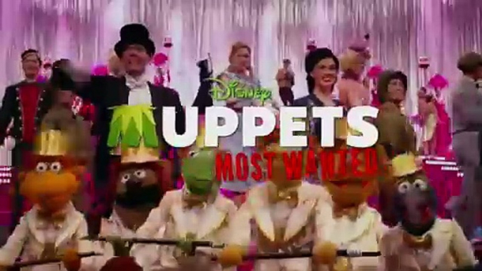 Muppets Most Wanted  Official Movie TV SPOT The Cameos 2014 HD  Kermit the Frog Muppet Movie