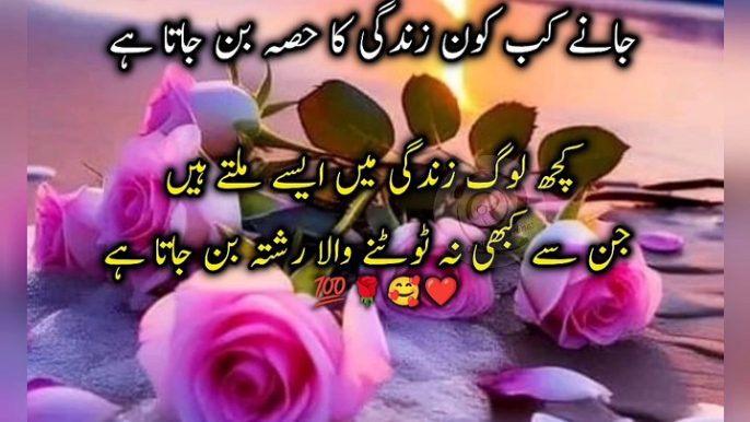 Aqwal e zareen in Urdu❤️|Urdu Islamic quotes|Aqwal e zareen|Best quotes About Life|اقوال زریں|aqwl