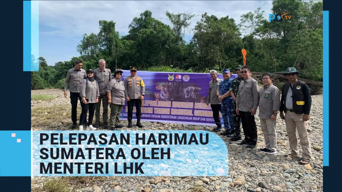 Pelepasan Harimau Sumatera oleh Kementerian Lingkungan Hidup