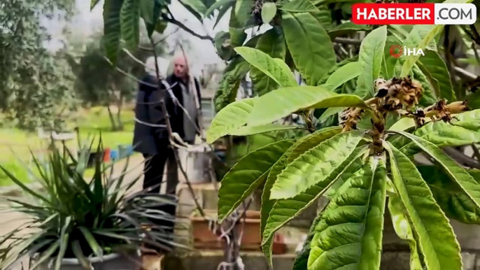 Yarım Asırlık Bir Aşk Hikayesi: Alzheimer Hastası Eşini Bir An Olsun Yalnız Bırakmıyor