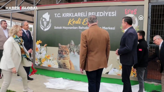 Öldürülen kedi "Eros"un adı Kırklareli Sokak Hayvanları Rehabilitasyon Merkezine verildi