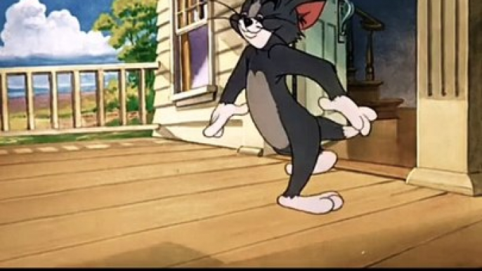 Cartoon tom and jerry behaving like family |Entertainment World