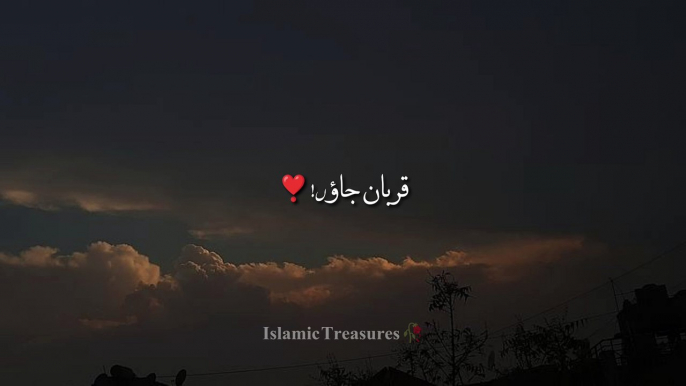 Beemari Shahadat Ki Mout ❣️ Islamic Video Status #islamicvideos #viralvideos #bayan