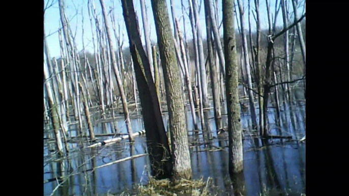 ferguson bayou part 2