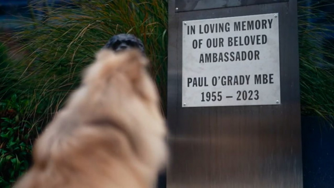 For The Love of Dogs pays moving tribute to Paul O’Grady in first episode since death