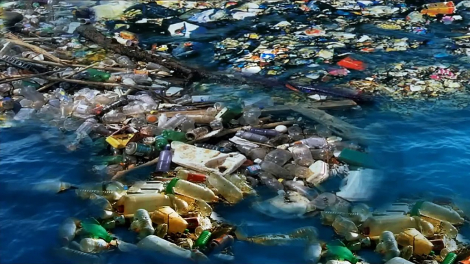 Le continent de plastique, ou  8ème continent  I